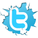 Twitter icon