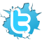 Twitter icon