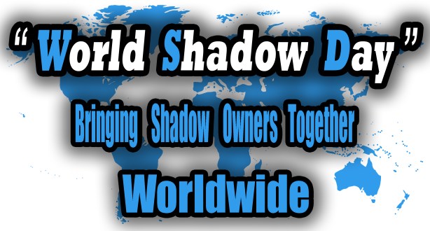 Bringing Shadow Owners Together.jpg